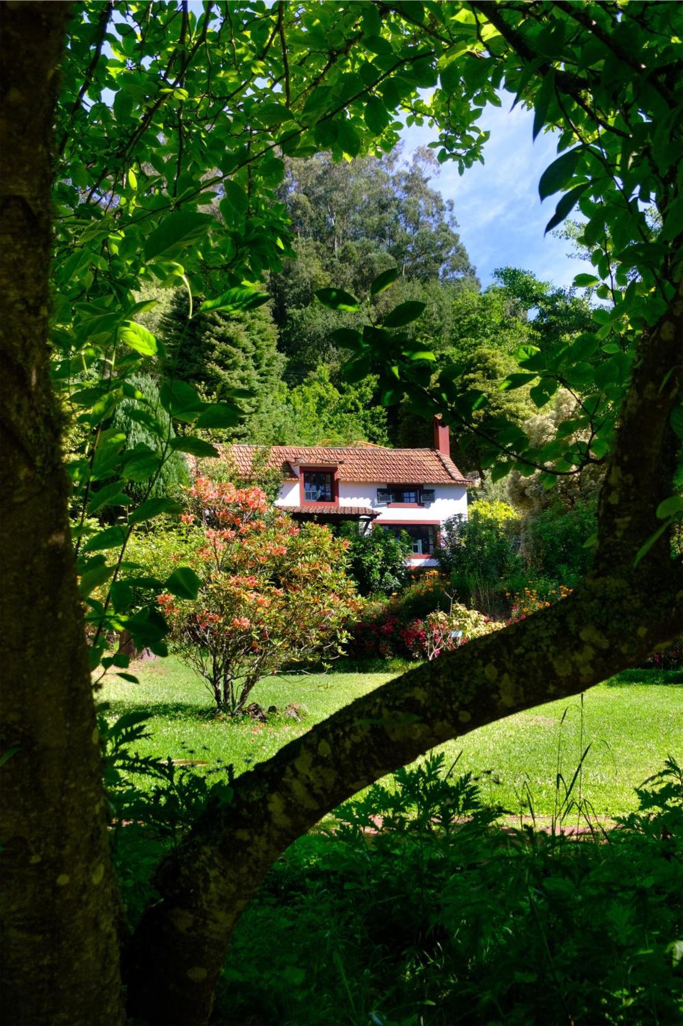 Valle Paraizo Camacha  Exterior foto