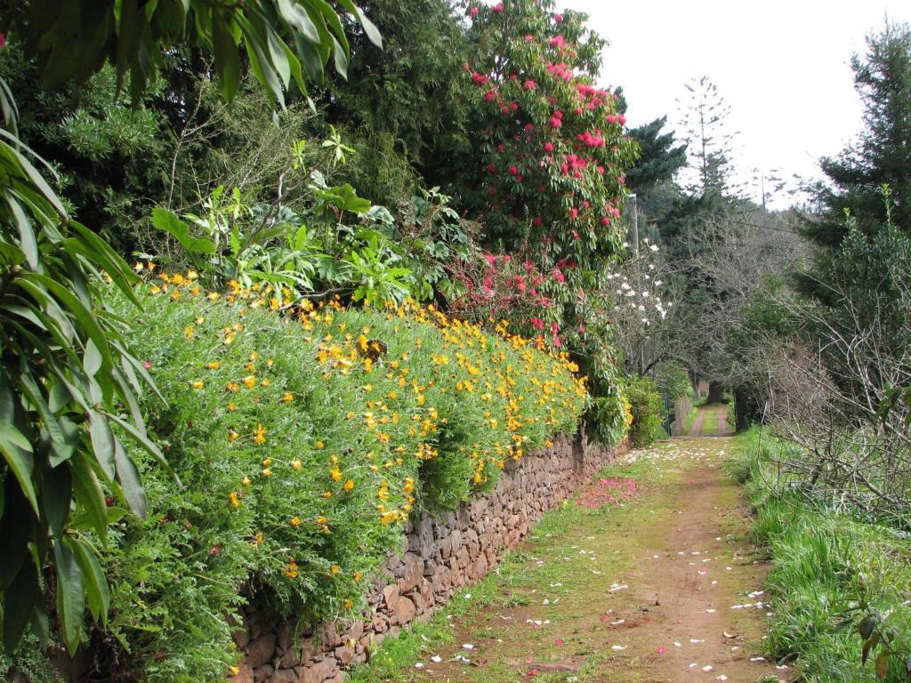 Valle Paraizo Camacha  Exterior foto